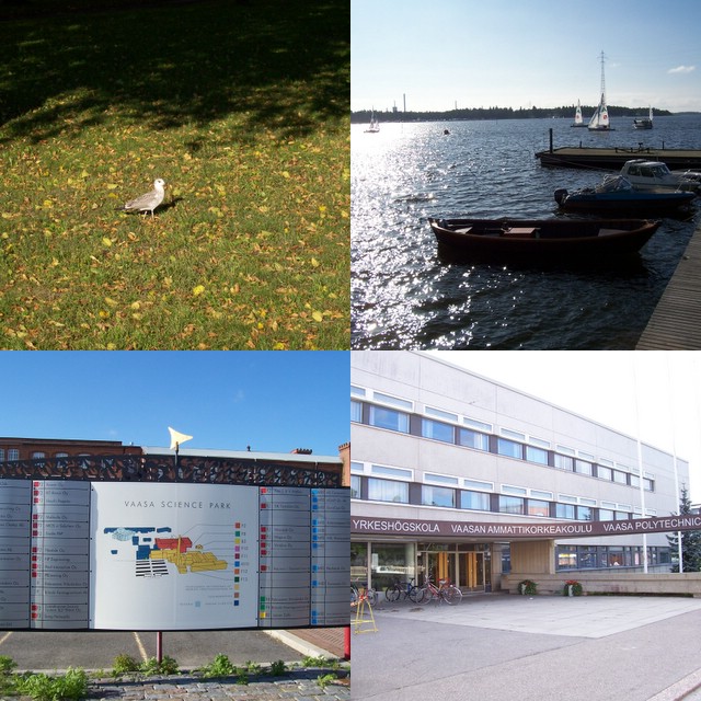 The Polytechnic, the University and the bay